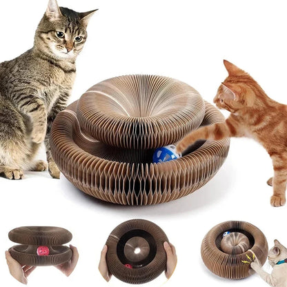 Magic Organ Cat Toy Cats Scratcher Scratch Board round Corrugated Scratching Post Toys for Cats Grinding Claw Cat Accessories